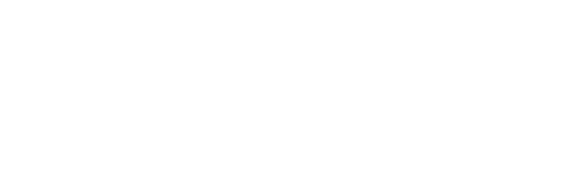 BigCommerce Partner