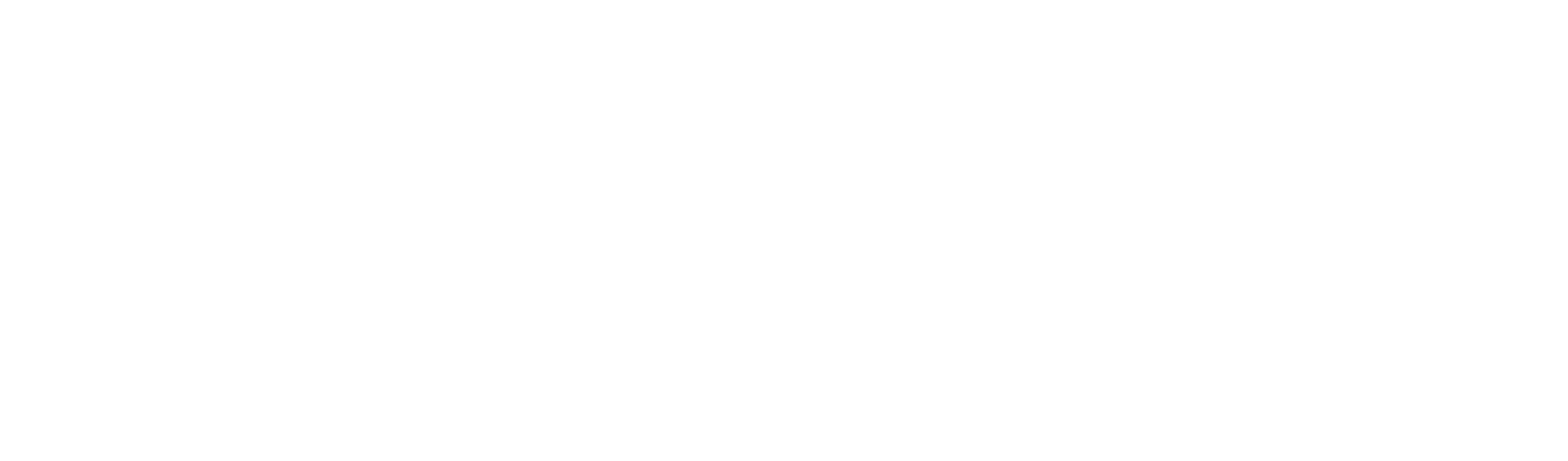 Klaviyo Partner