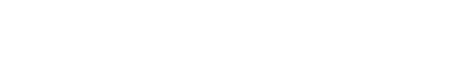 Shopify Plus Partner